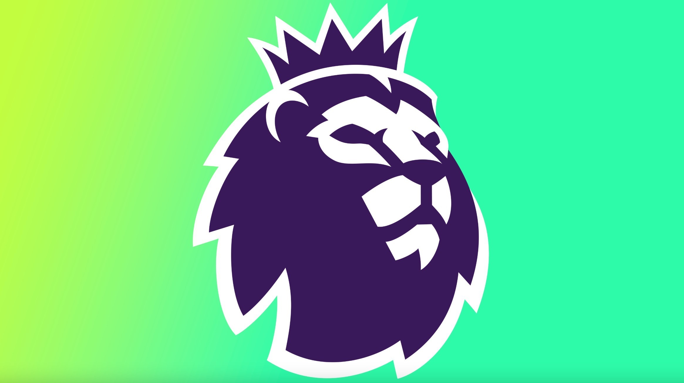 王祉怡成功 王祉怡成功