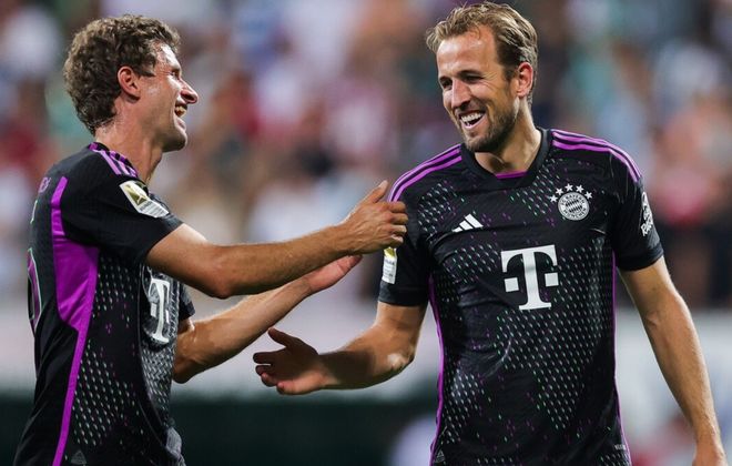 又强化记忆 又强化记忆