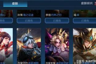 在石甲虫